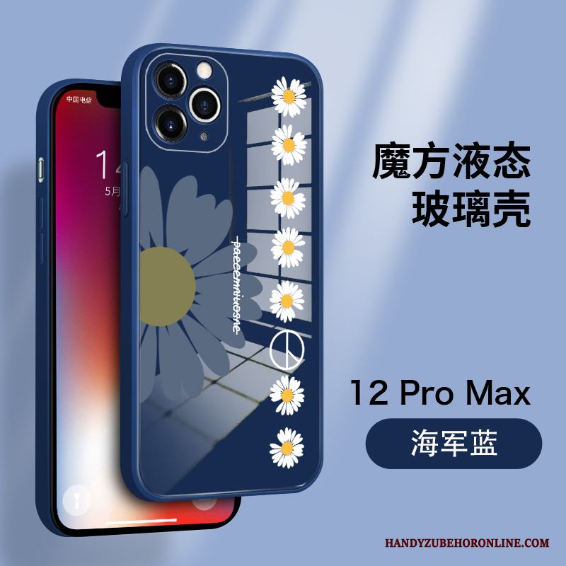 iPhone 12 Pro Max Skal Högt Utbud Skydd Personlighet Härdat Glas Ny Par Trend Varumärke