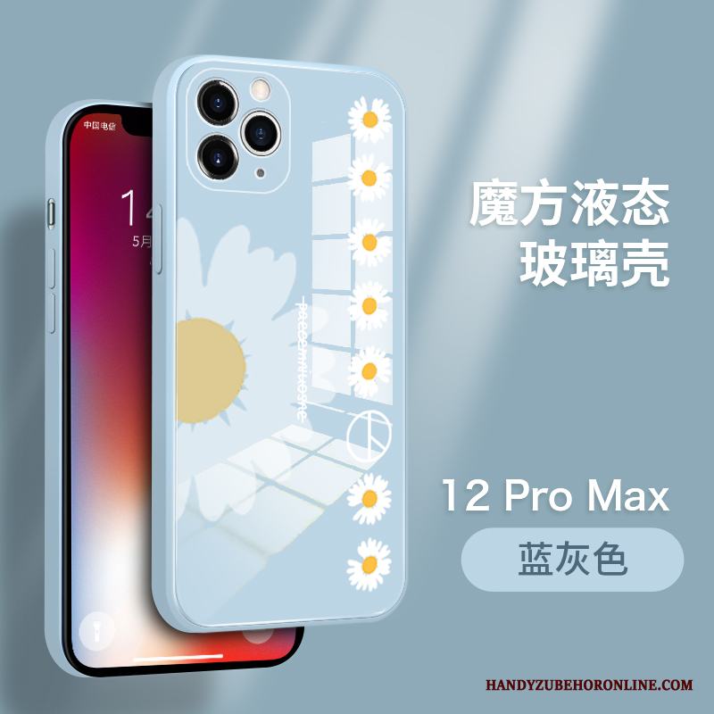 iPhone 12 Pro Max Skal Högt Utbud Skydd Personlighet Härdat Glas Ny Par Trend Varumärke