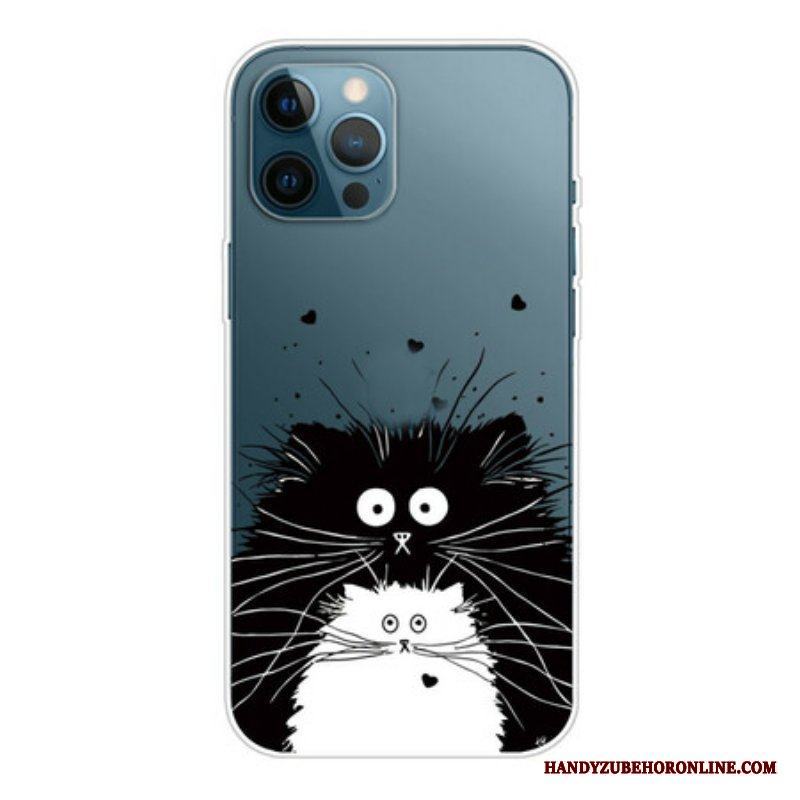 Skal iPhone 13 Pro Titta På Katterna